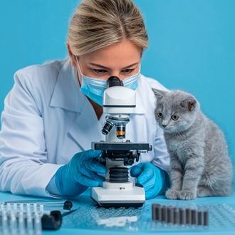 Вет лаборант