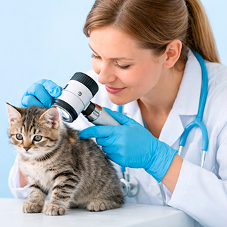 Дерматолог