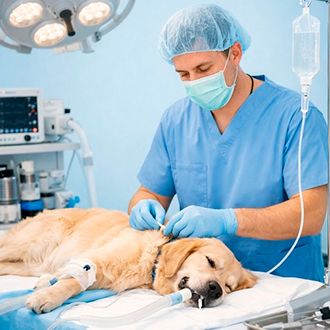 Анестезиолог