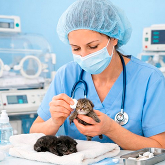 Неонатолог