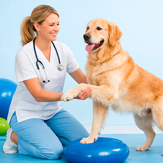 Реабилитолог