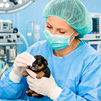 Акушер-гинеколог