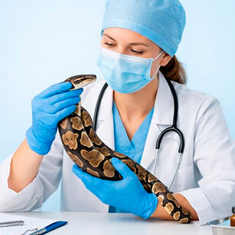 Герпетолог