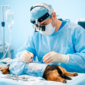 Нейрохирург