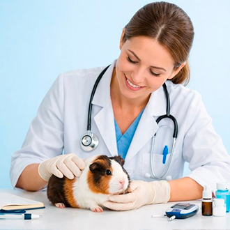 Эндокринолог