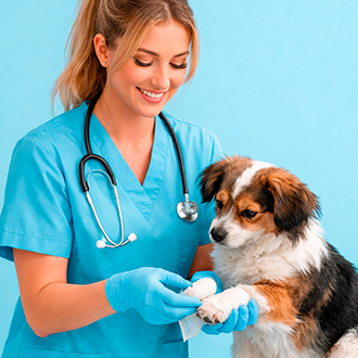 Травматолог